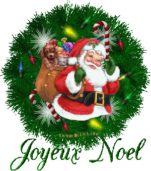 images%202/Anim_noel.gif