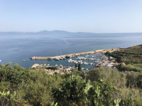 images%20corse%202019/16%20miniature.jpeg