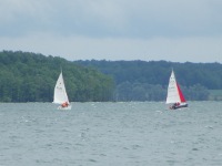 images%20lac%20du%20der%202012/Lac%20du%20Der%2011%20miniature.jpg